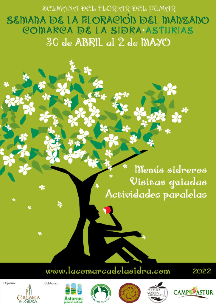 Semana de la floración del manzano en la comarca de la sidra de Asturias 
